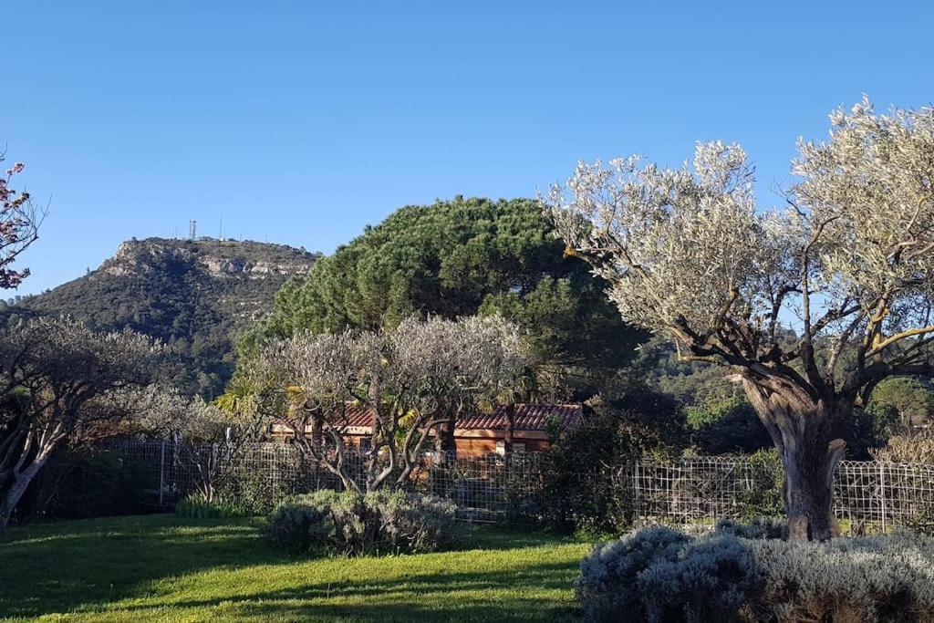 Sous Le Grand Pin Gites Eden En Cevennes Anduze Eksteriør billede